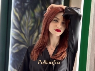 Pollinafox