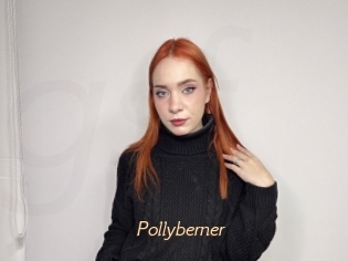Pollyberner
