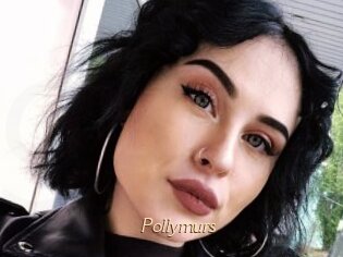 Pollymurs