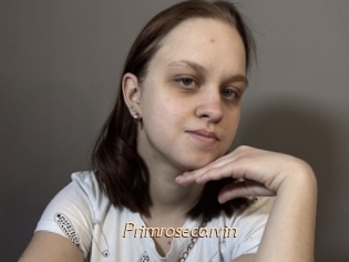 Primrosecarvin