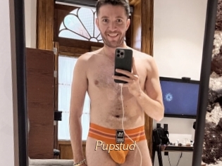 Pupstud