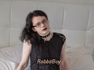 RabbitBoy