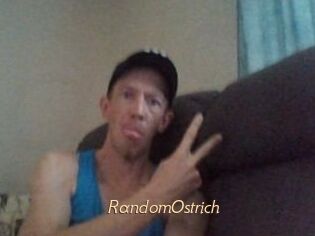 RandomOstrich