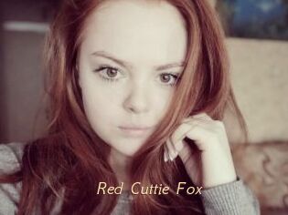 Red_Cuttie_Fox