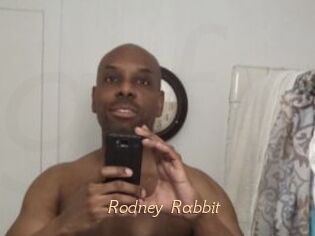 Rodney_Rabbit