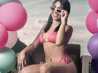 Rileynacci