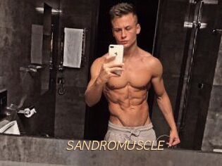 SANDRO_MUSCLE