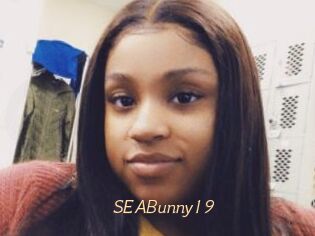SEABunny19