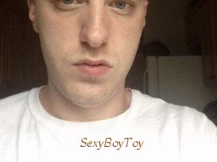 SexyBoyToy