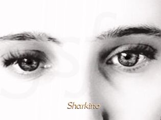 Sharkino