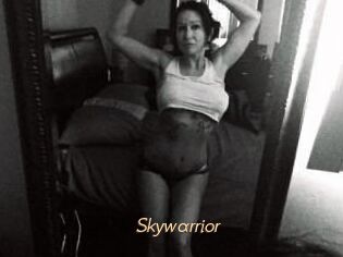 Skywarrior