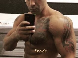 Snade