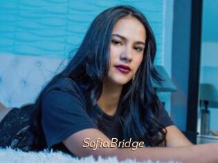 SofiaBridge