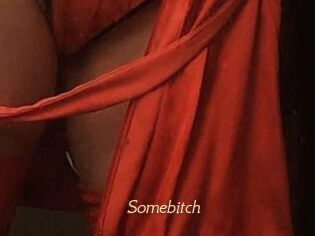 Somebitch
