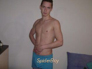 SpiderBoy