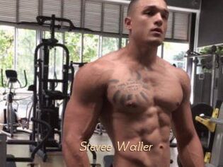 Stevee_Waller