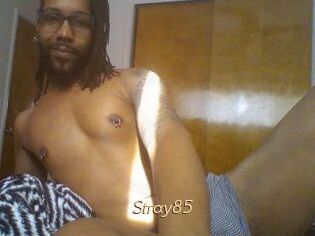 Stray85