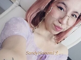 Sandyblossom19