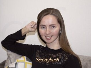 Sandybush