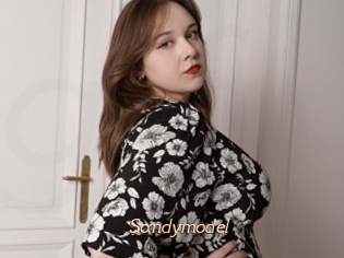Sandymodel