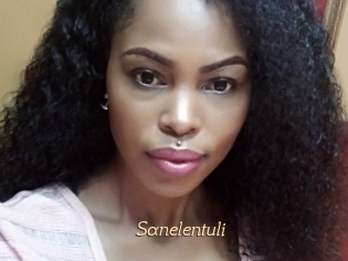 Sanelentuli