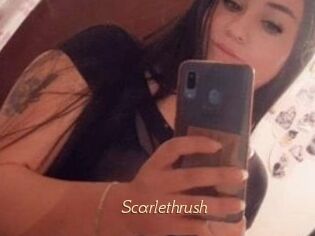 Scarlethrush