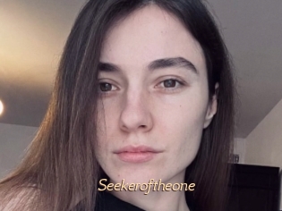 Seekeroftheone