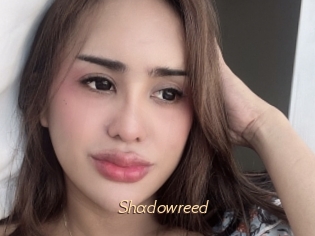 Shadowreed