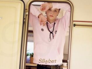 Silkybert
