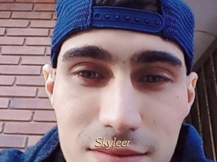 Skyleer