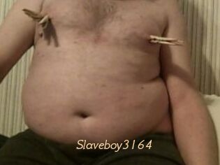 Slaveboy3164