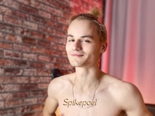 Spikepoel