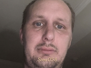 Stew058