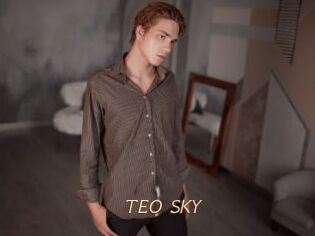 TEO_SKY