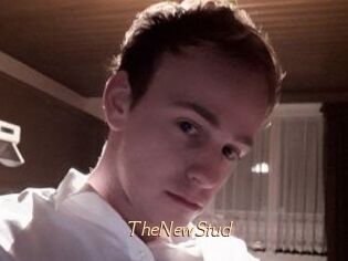 TheNewStud