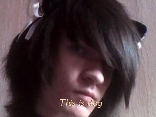 This_is_dog