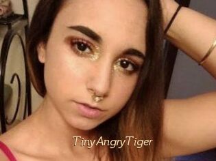 TinyAngryTiger