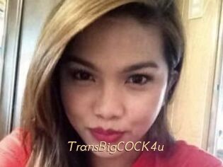 TransBigCOCK4u