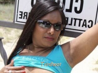 Triniheat