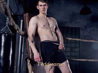 Teddreamer