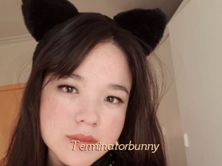 Terminatorbunny