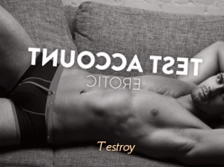 Testroy