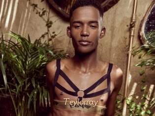 Teylorray