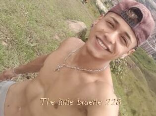 The_little_bruette_228