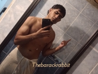 Thebarackrabbit