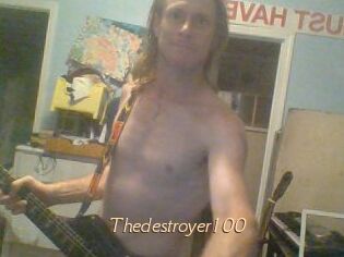 Thedestroyer100