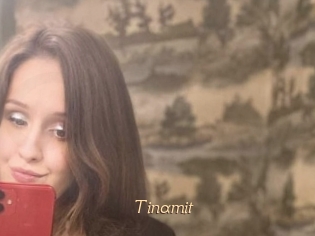 Tinamit