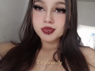 Tinybrandy