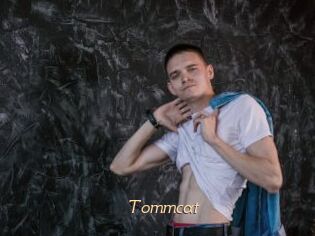 Tommcat