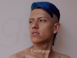 Twinkguyy